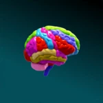 Logo of Brain and Nervous System 3D android Application 