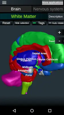 Brain and Nervous System 3D android App screenshot 2