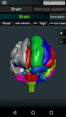 Brain and Nervous System 3D android App screenshot 4