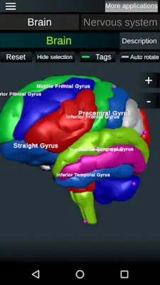 Brain and Nervous System 3D android App screenshot 6